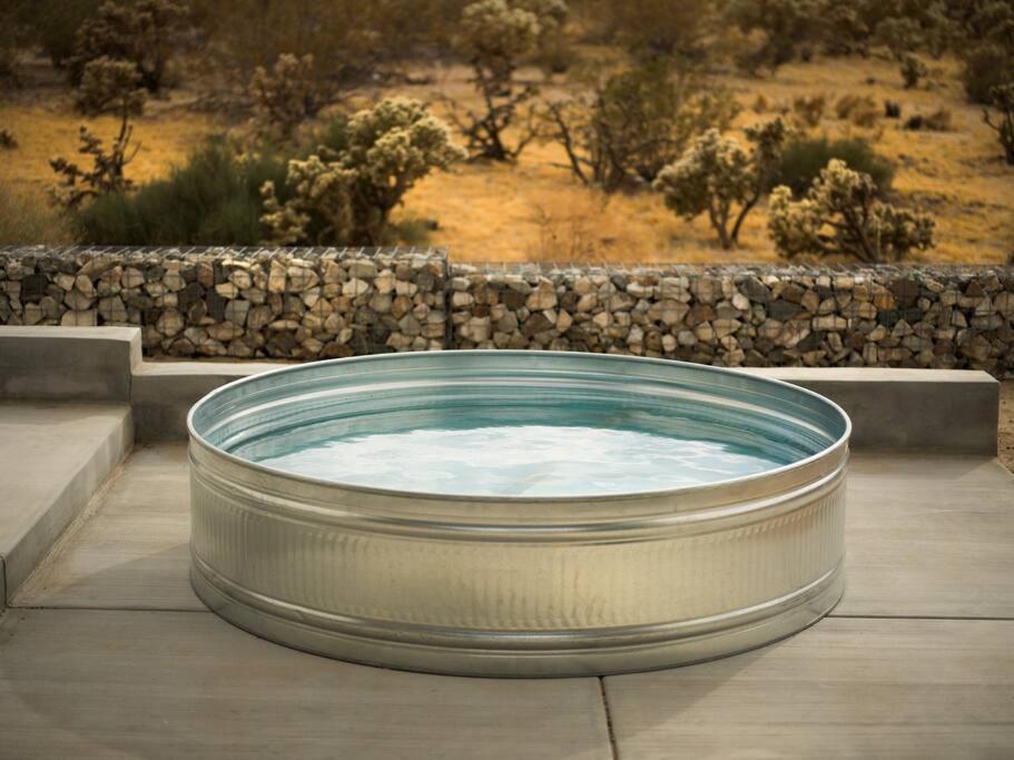 Neutra Luxury Retreat Pool And Joshua Tree